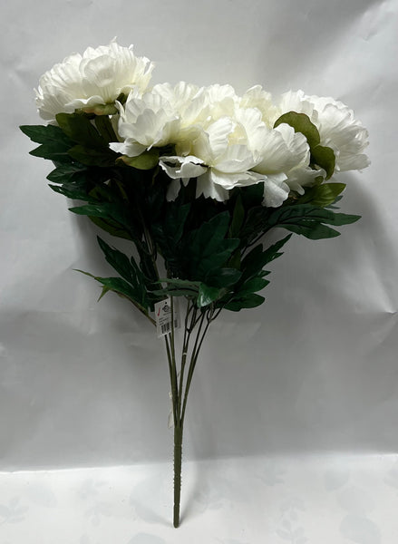 Peony Bush-Cream