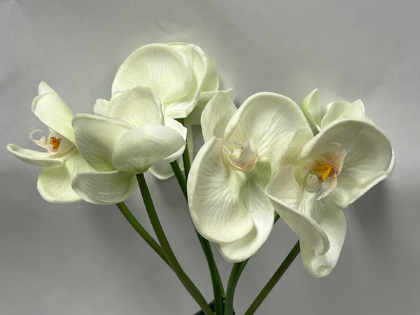 "Feel Real" -Artificial- Phalaenopsis Orchid Bouquet