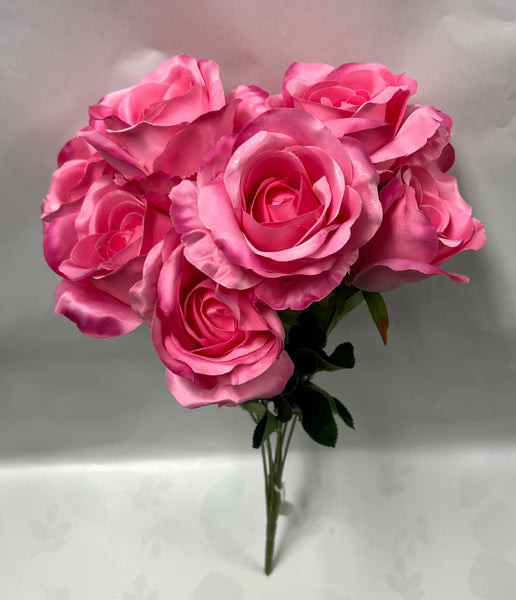 Rose Bush -Bright Pink