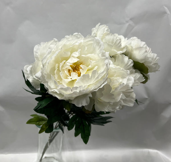 Peony Bush-Cream