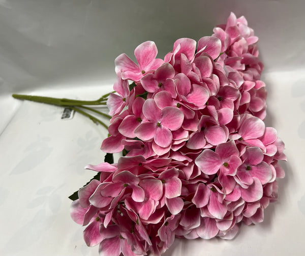 Hydrangea Bush- Pink