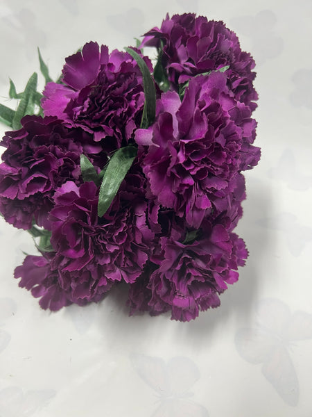 Carnation Bush -Plum