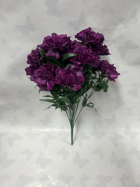Carnation Bush -Plum