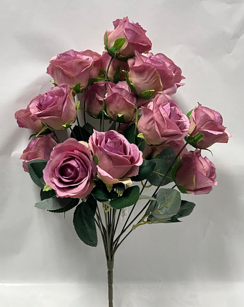 Rose Bush -Lavender