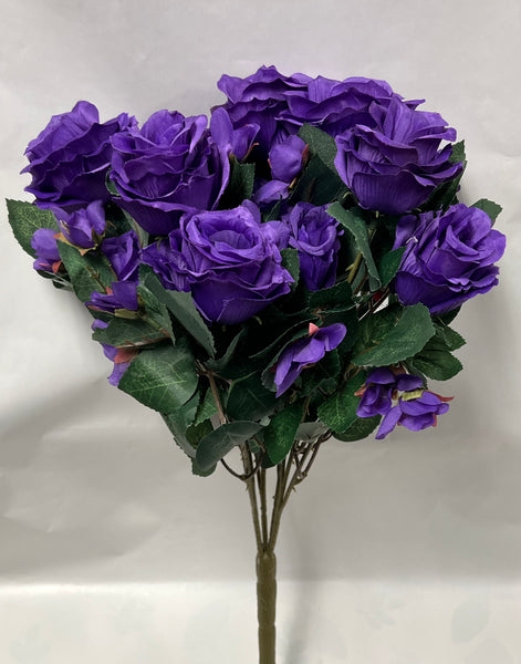Rose Bush -Dark Purple