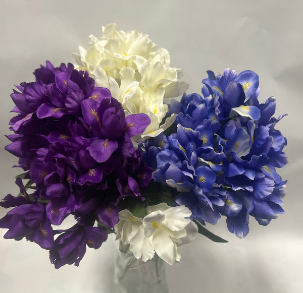 Dutch Iris Bush