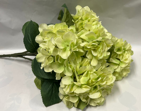 Hydrangea Bush- Light Green