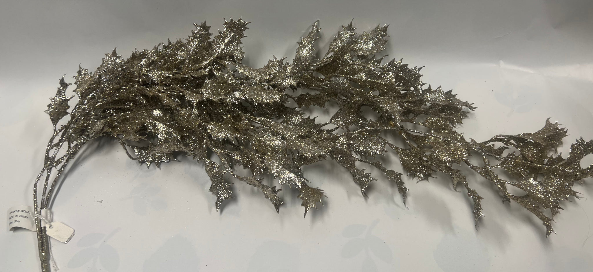 Trailing Holly Bush -champagne