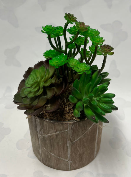 Small Artificial Succulent Arrangement- Wooden Container