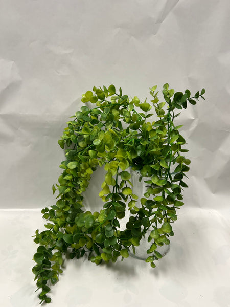 Boxwood Hanging Bush-Green