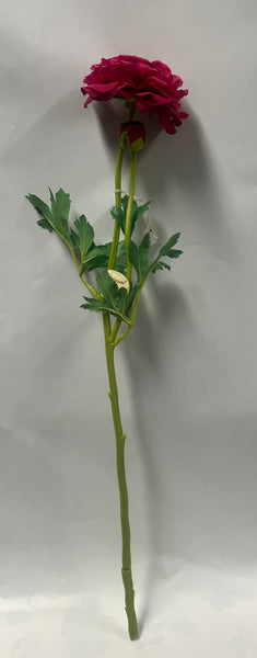 Ranunculus Spray -Wine