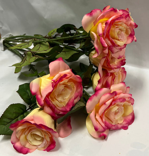 Rose Bush -Hampton Garden Rose