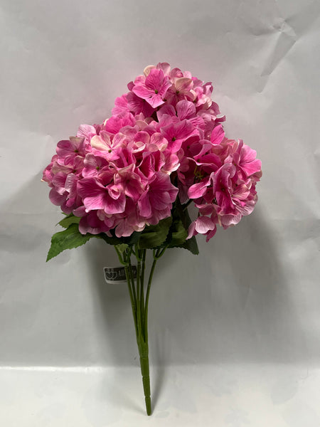 Hydrangea Bush- Bright Pink