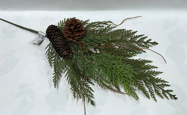 Cedar/ Cone Spray