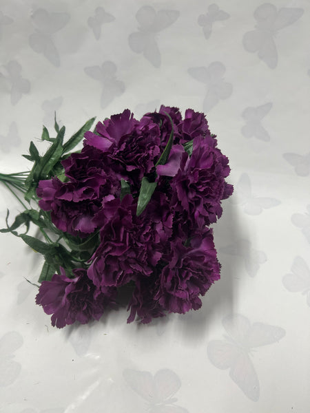 Carnation Bush -Plum