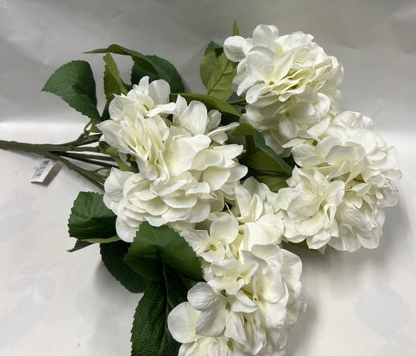 Hydrangea Bush- White