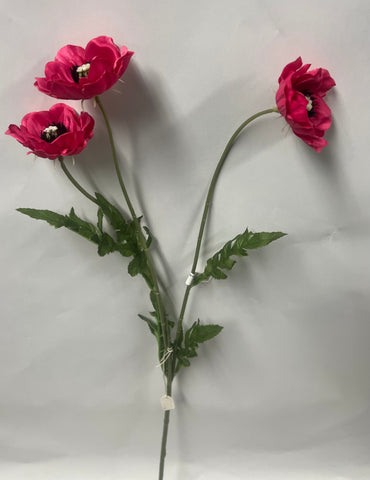 Japanese Anemone -Beauty