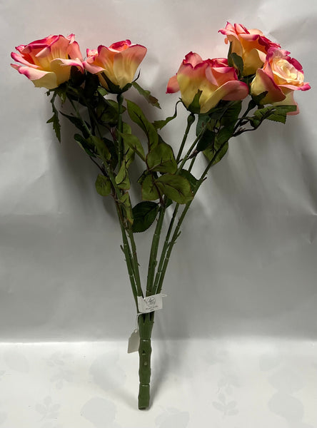 Rose Bush -Hampton Garden Rose