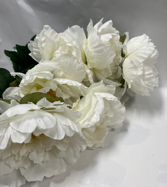 Peony Bush-Cream