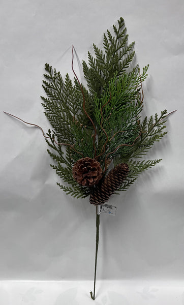 Cedar/ Cone Spray