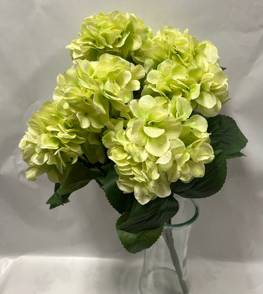 Hydrangea Bush- Light Green