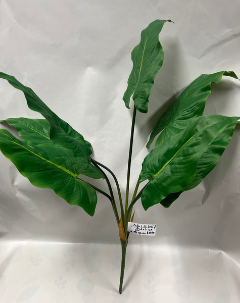 Calla Lily Leaf Bush -Green