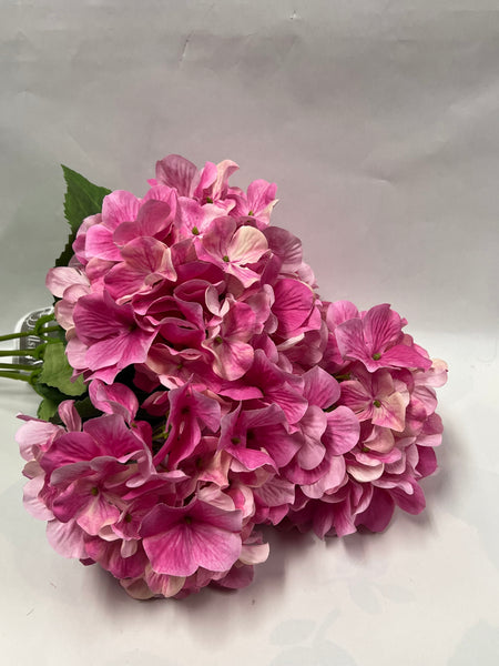 Hydrangea Bush- Bright Pink