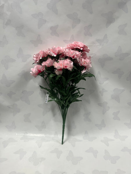 Carnation Bush -Pink