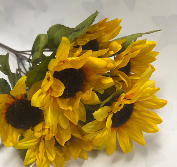 Sunflower Bush -Yellow