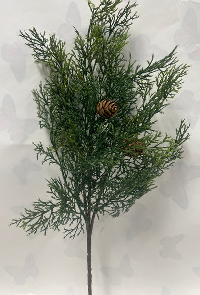 Atlantic White Cedar Pick