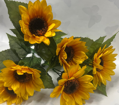 Sunflower Bush -Yellow