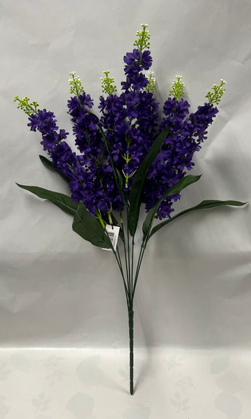 Delphinium Bush