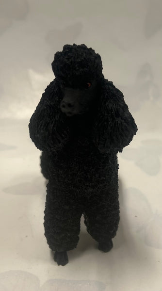 Country Artists -Poodle -Black