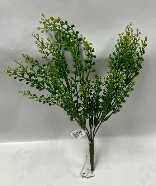 Eucalyptus Seedpod Bush