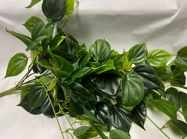 UV Protected Philo Bush