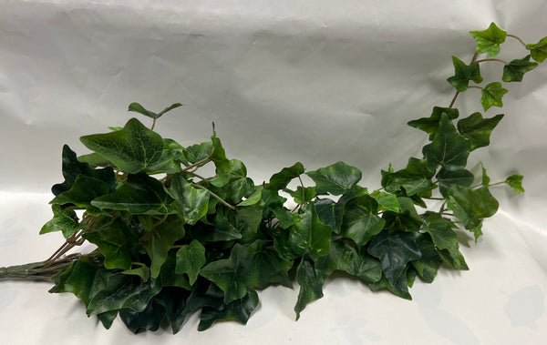 Garden Ivy Hanging Bush