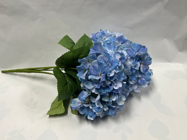 Hydrangea Bush- Blue
