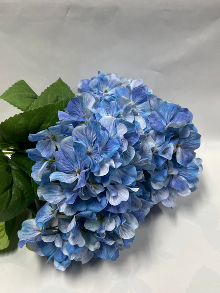 Hydrangea Bush- Blue