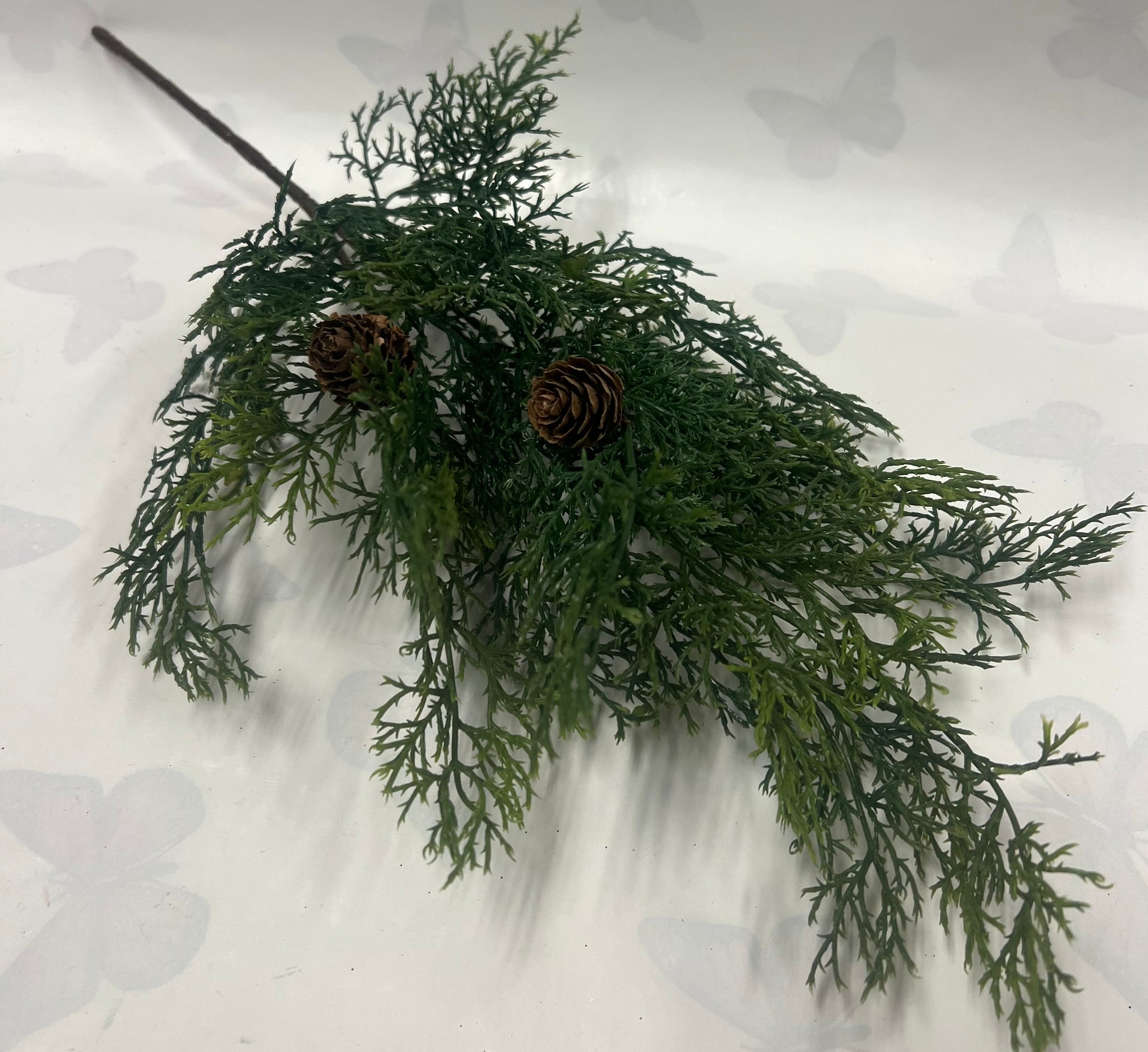 Atlantic White Cedar Pick