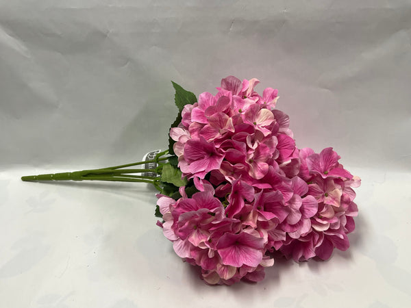 Hydrangea Bush- Bright Pink