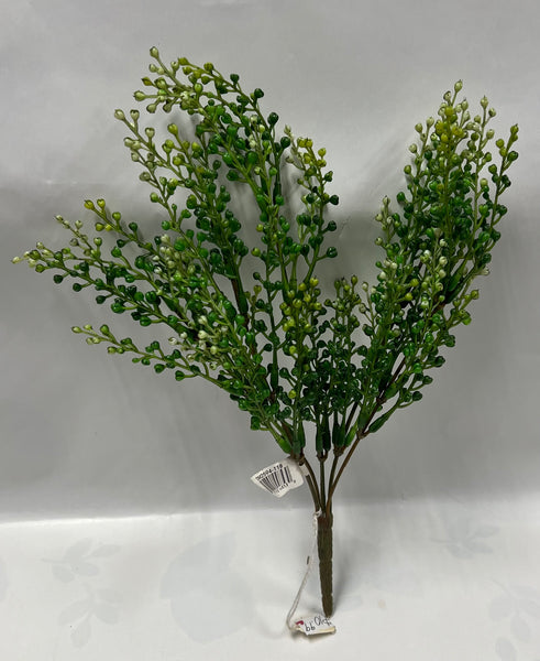 Eucalyptus Seedpod Bush