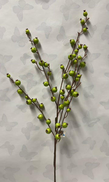 Mini Pomegranate Berry Spray -Lime Green