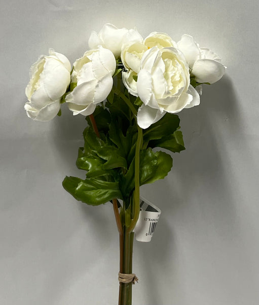 Ranunculus Bundle -Cream