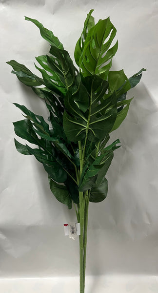 Split Philo Plant x3