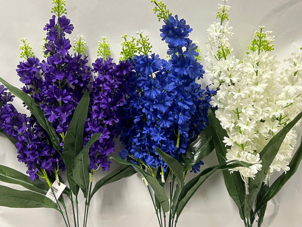 Delphinium Bush
