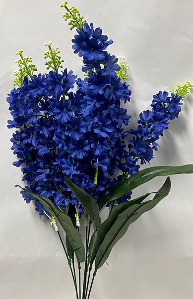 Delphinium Bush