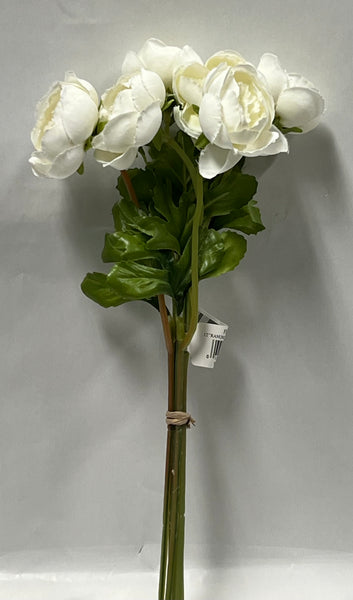 Ranunculus Bundle -Cream