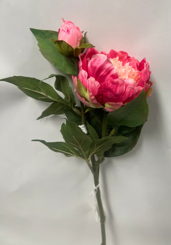 Small Grand Peony With Bud -Two Tone Pink