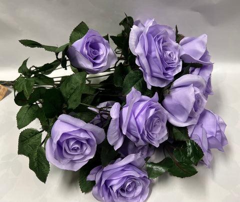 Grandiflora Rose Bush -Lilac