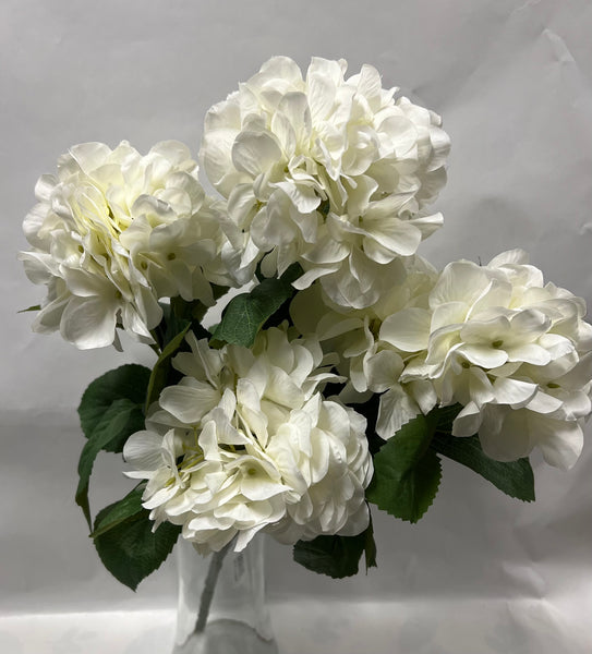 Hydrangea Bush- White